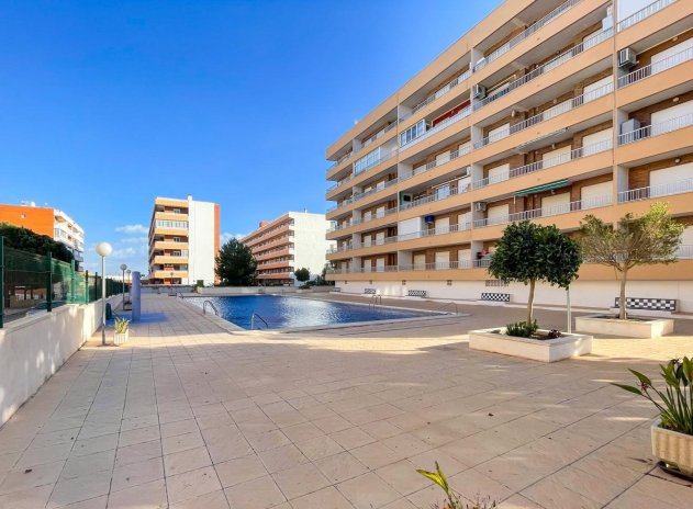Herverkoop - Appartement - Torrevieja - Punta Prima