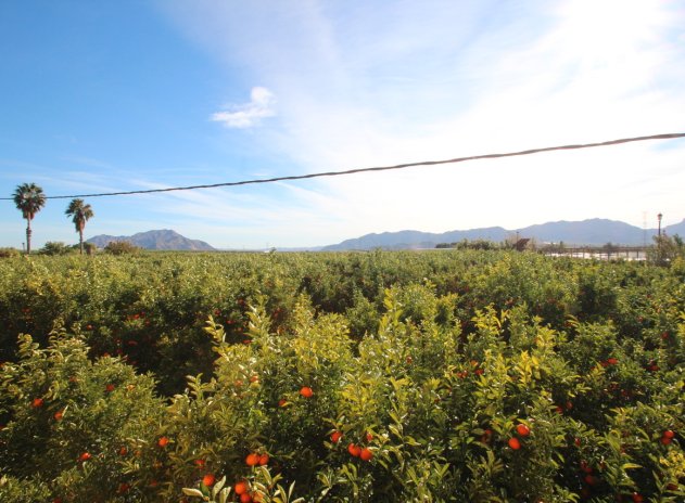 Herverkoop - Finca / Plattelands Woning - Murcia