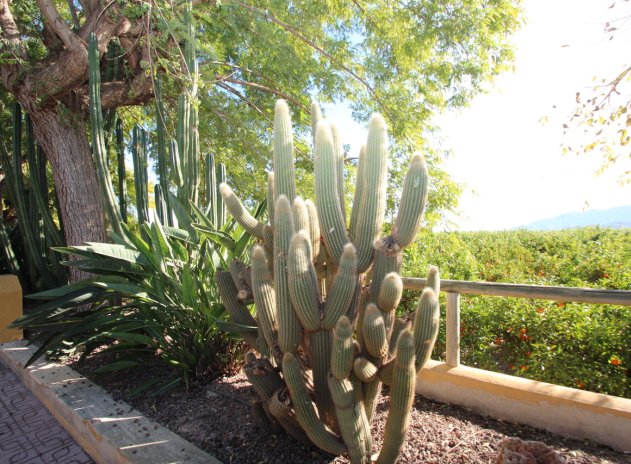 Herverkoop - Finca / Plattelands Woning - Murcia