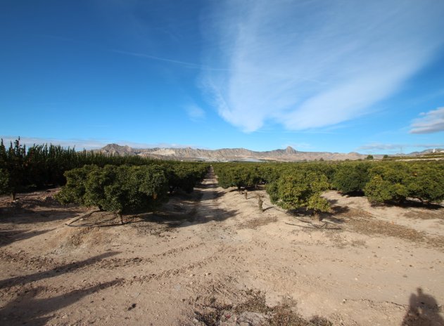 Herverkoop - Finca / Plattelands Woning - Murcia