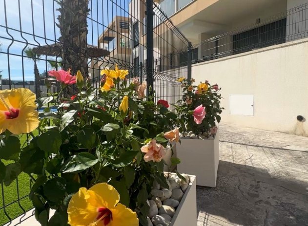 Herverkoop - Appartement - Orihuela Costa - Villamartín