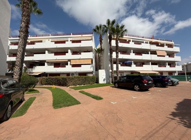 Herverkoop - Appartement - Orihuela - Playa Flamenca
