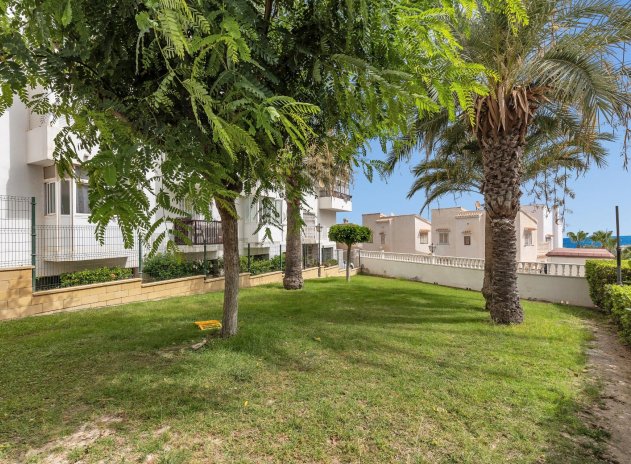 Herverkoop - Appartement - Torrevieja - Torreblanca