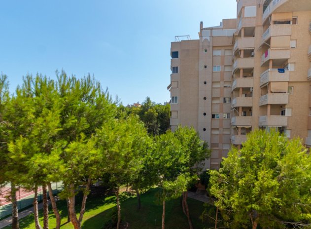 Herverkoop - Appartement - Orihuela Costa - Campoamor