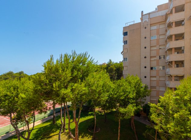 Herverkoop - Appartement - Orihuela Costa - Campoamor