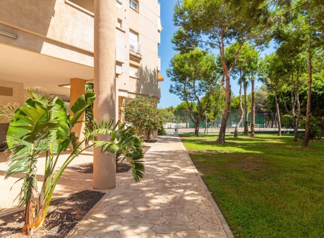 Herverkoop - Appartement - Orihuela Costa - Campoamor