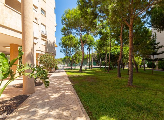 Herverkoop - Appartement - Orihuela Costa - Campoamor