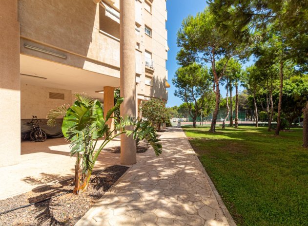 Herverkoop - Appartement - Orihuela Costa - Campoamor