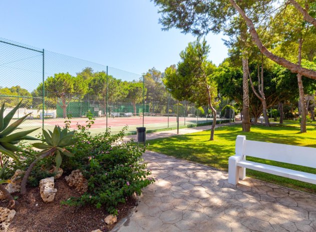 Herverkoop - Appartement - Orihuela Costa - Campoamor