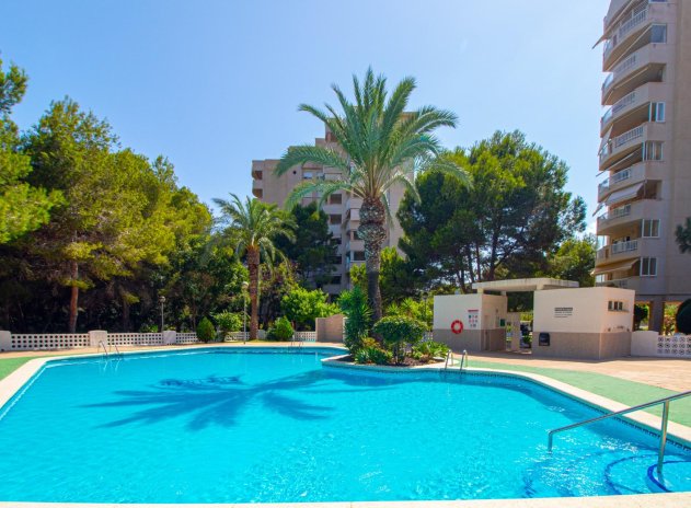 Herverkoop - Appartement - Orihuela Costa - Campoamor