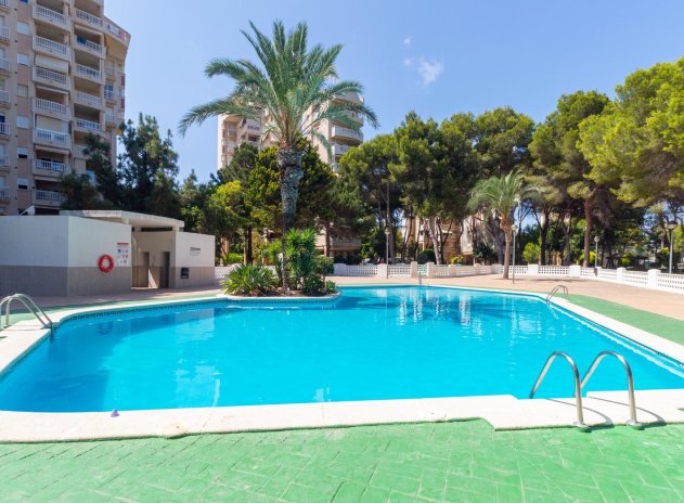 Herverkoop - Appartement - Orihuela Costa - Campoamor