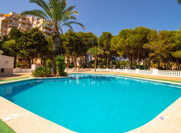 Herverkoop - Appartement - Orihuela Costa - Campoamor