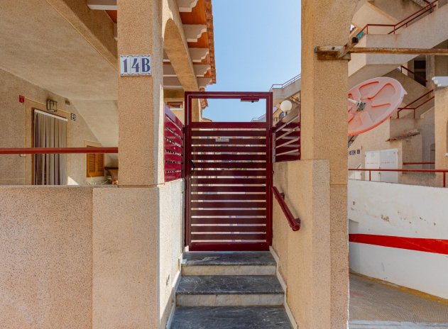 Herverkoop - Appartement - Torrevieja - Acequion