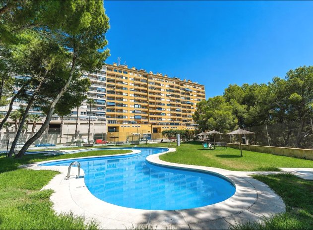 Herverkoop - Appartement - Orihuela Costa - Campoamor