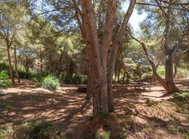 Herverkoop - Appartement - Orihuela Costa - Campoamor