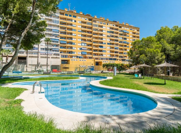 Herverkoop - Appartement - Orihuela Costa - Campoamor