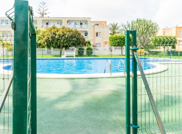 Reventa - Apartamento / Piso - Torrevieja - Torreblanca
