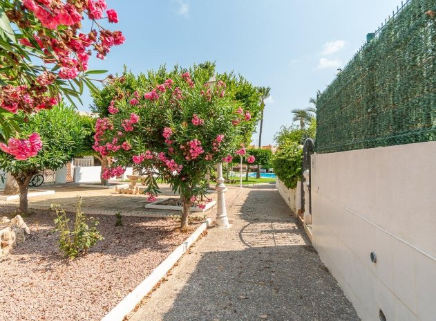 Reventa - Apartamento / Piso - Torrevieja - Torreblanca