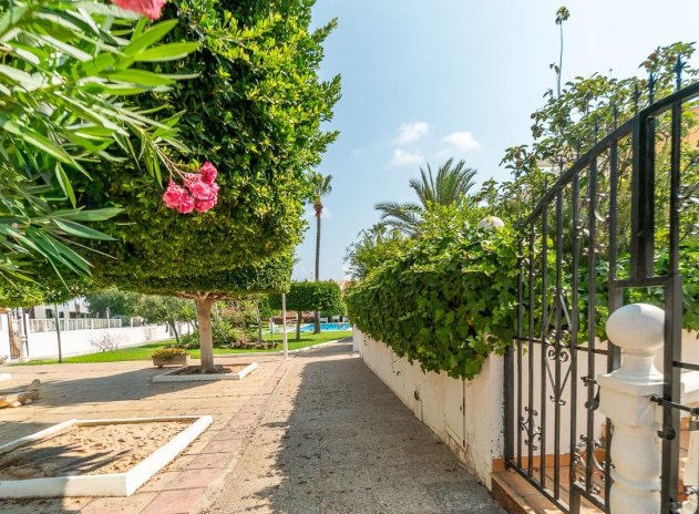 Reventa - Apartamento / Piso - Torrevieja - Torreblanca
