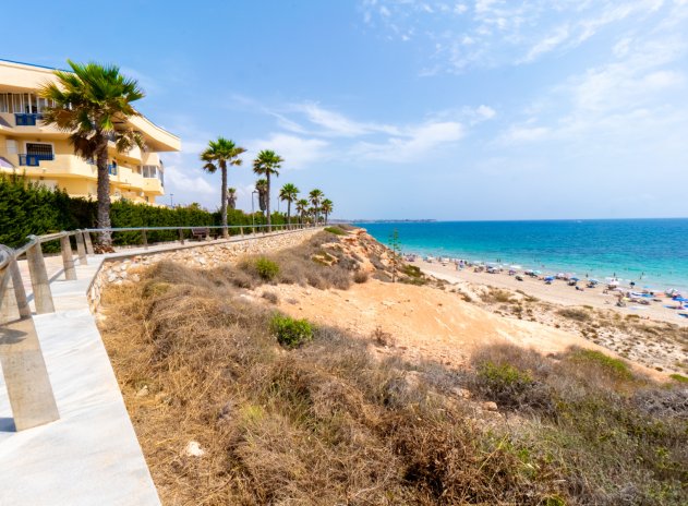 Revente - Appartement - Mil Palmeras