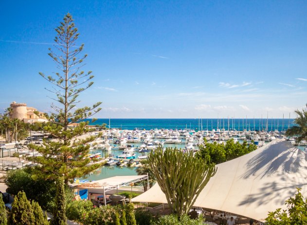 Revente - Appartement - Mil Palmeras