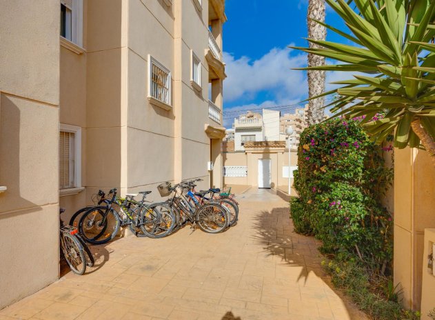 Herverkoop - Appartement - Torrevieja - Nueva Torrevieja