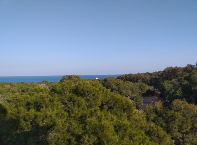 New Build - Apartment / Flat * - Guardamar del Segura *