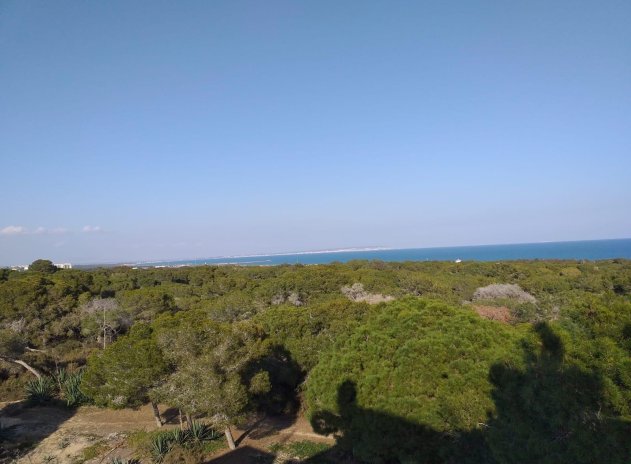 New Build - Apartment / Flat * - Guardamar del Segura *