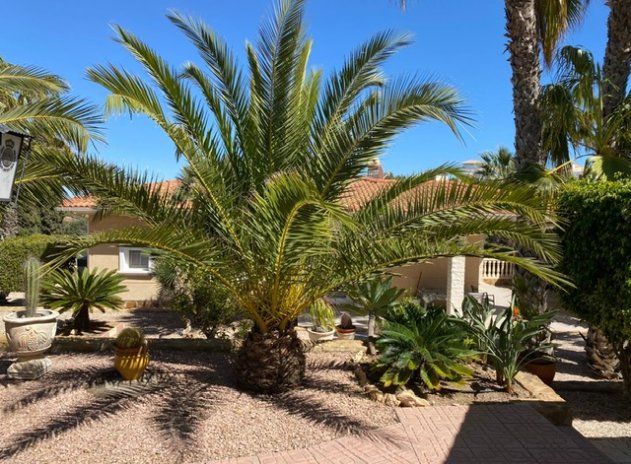 Revente - Villa - El Galan - El Galán