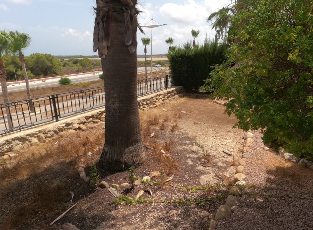 Herverkoop - Appartement - Algorfa - La Finca Golf