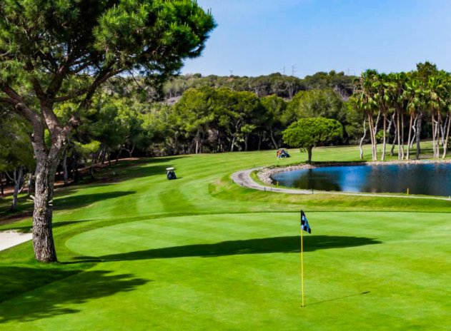 Resale - Apartment / Flat * - Villamartin * - Villamartín * 