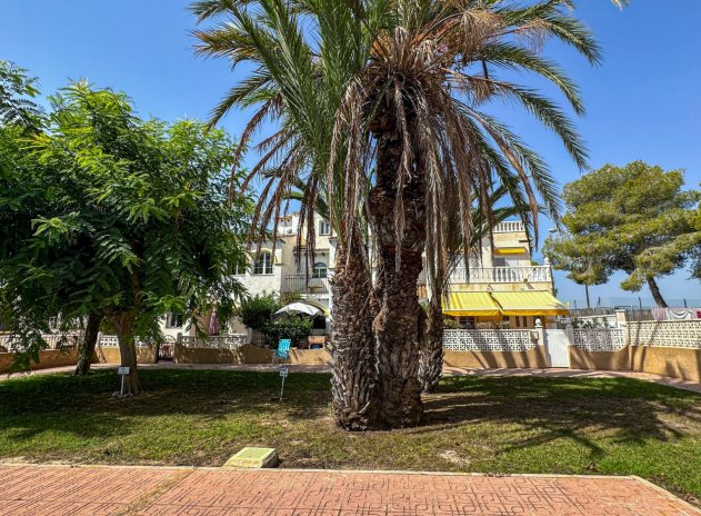 Herverkoop - Appartement - San Miguel de Salinas - Bellavista