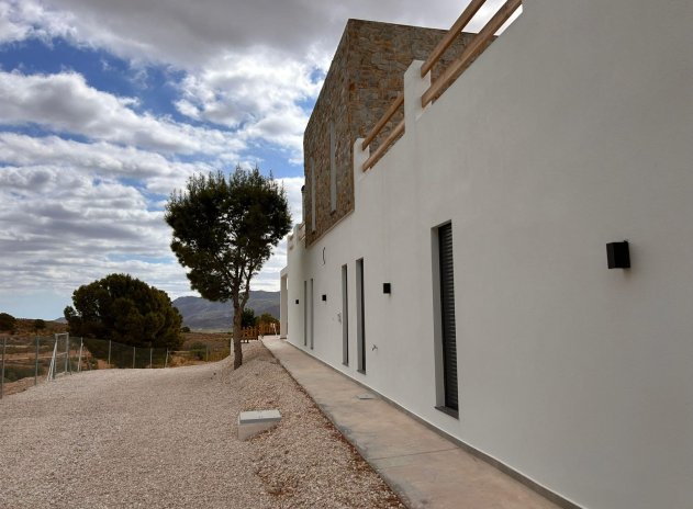 Nieuwbouw Woningen - Villa - Pinoso - Casas Pastor