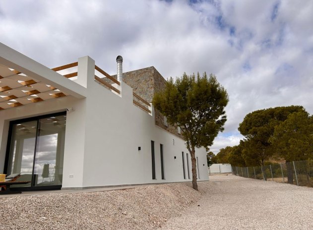 Nieuwbouw Woningen - Villa - Pinoso - Casas Pastor