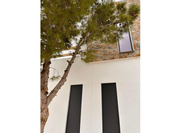 Nieuwbouw Woningen - Villa - Pinoso - Casas Pastor