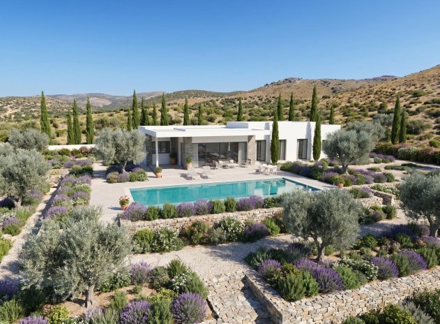 Nieuwbouw Woningen - Villa - Pinoso - Casas Pastor