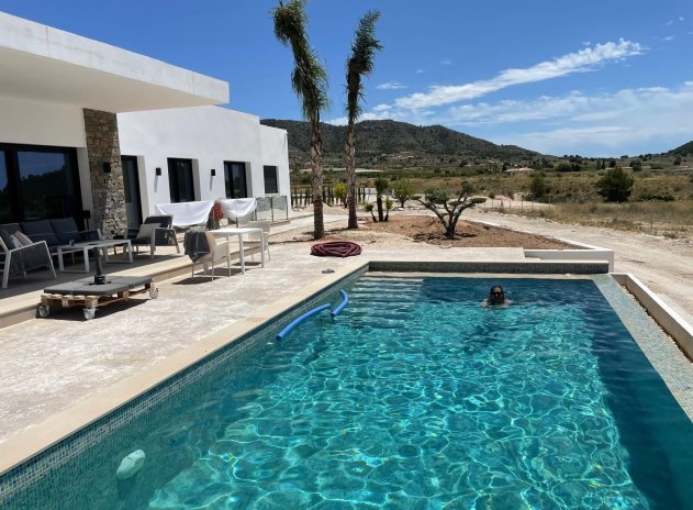 Nieuwbouw Woningen - Villa - Pinoso - Casas Pastor