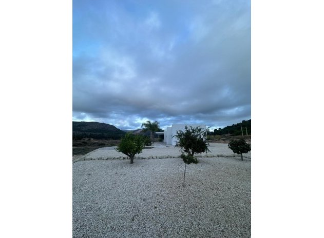 Nieuwbouw Woningen - Villa - Pinoso - Casas Pastor