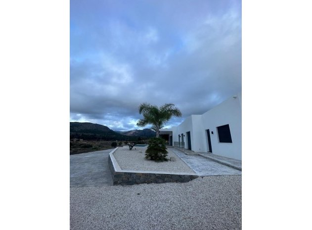 Nieuwbouw Woningen - Villa - Pinoso - Casas Pastor