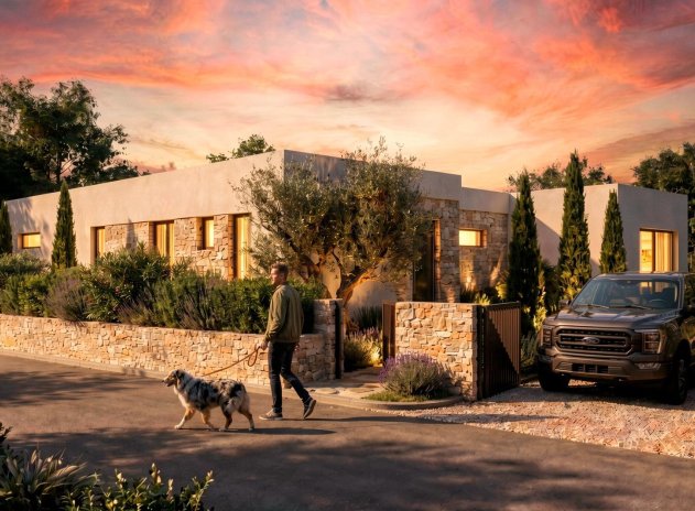 Nieuwbouw Woningen - Villa - Pinoso - Casas Pastor