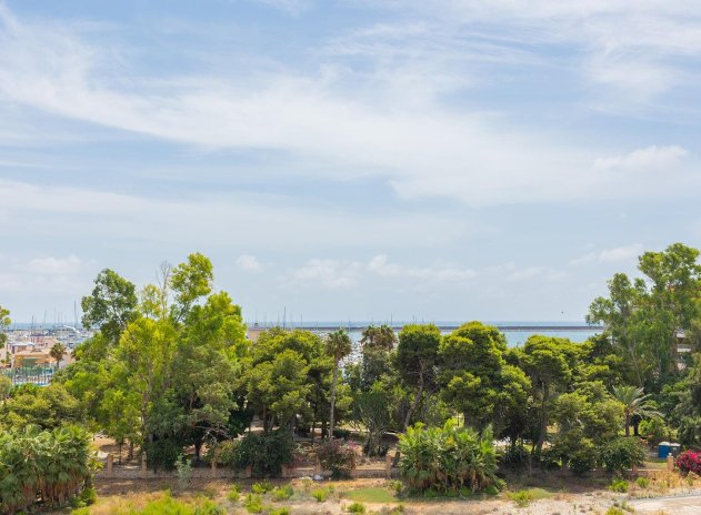 Herverkoop - Appartement - Torrevieja - Acequion