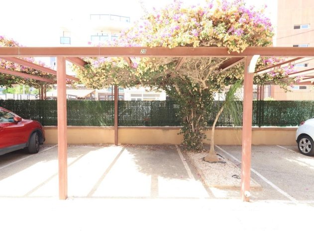 Herverkoop - Appartement - Orihuela Costa - Agua Marina