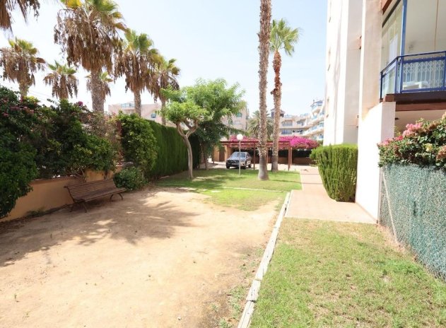 Herverkoop - Appartement - Orihuela Costa - Agua Marina