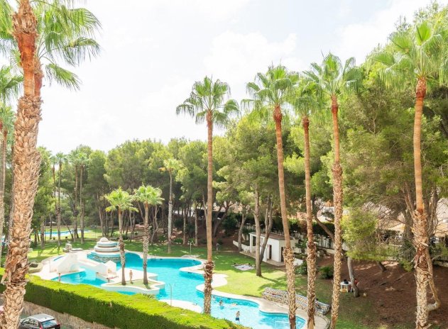 Herverkoop - Appartement - Orihuela Costa - Campoamor