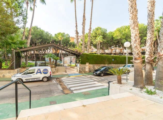 Herverkoop - Appartement - Orihuela Costa - Campoamor