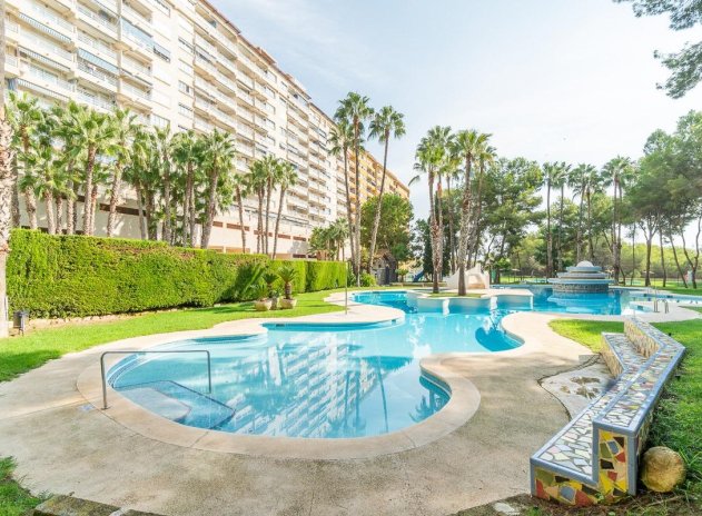 Herverkoop - Appartement - Orihuela Costa - Campoamor