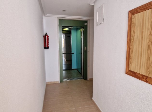 Wiederverkauf - Wohnung - Guardamar del Segura