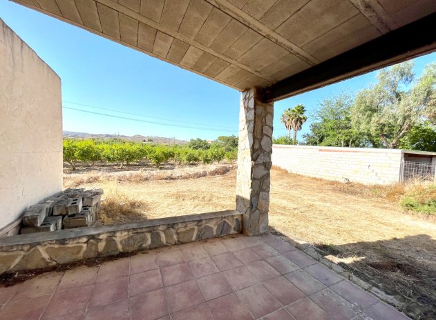 Herverkoop - Finca / Plattelands Woning - Elche - Matola