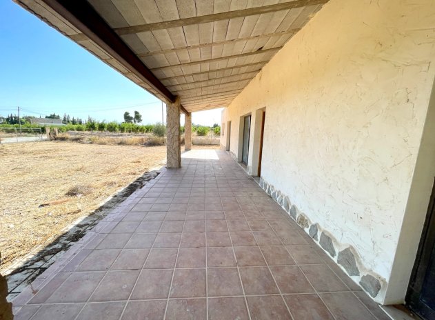 Herverkoop - Finca / Plattelands Woning - Elche - Matola