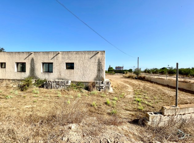 Herverkoop - Finca / Plattelands Woning - Elche - Matola